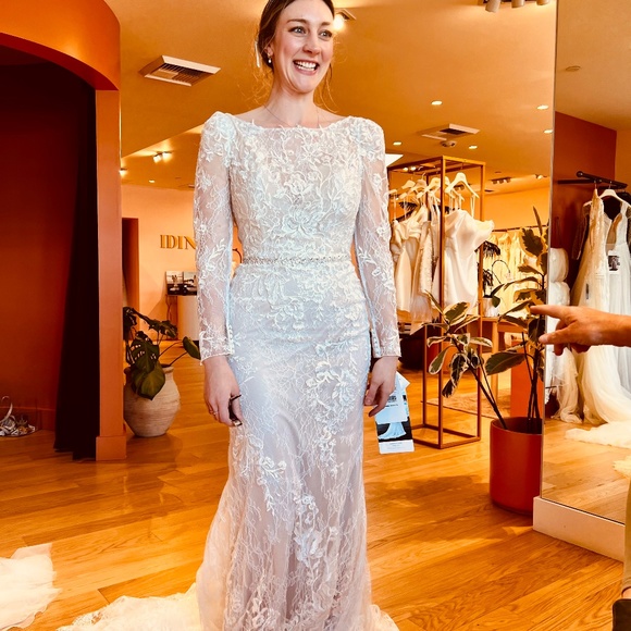 Pronovias Privee Panjin Wedding Dress - Picture 10 of 13